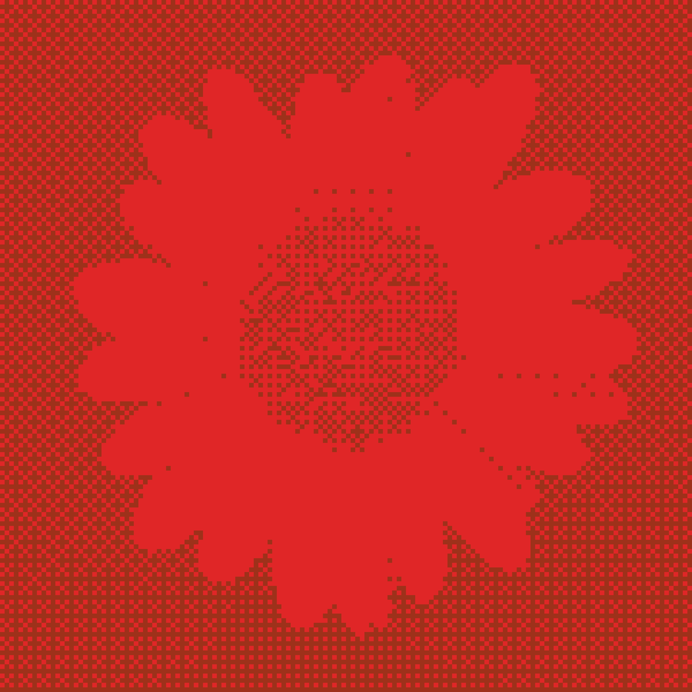 Bloom